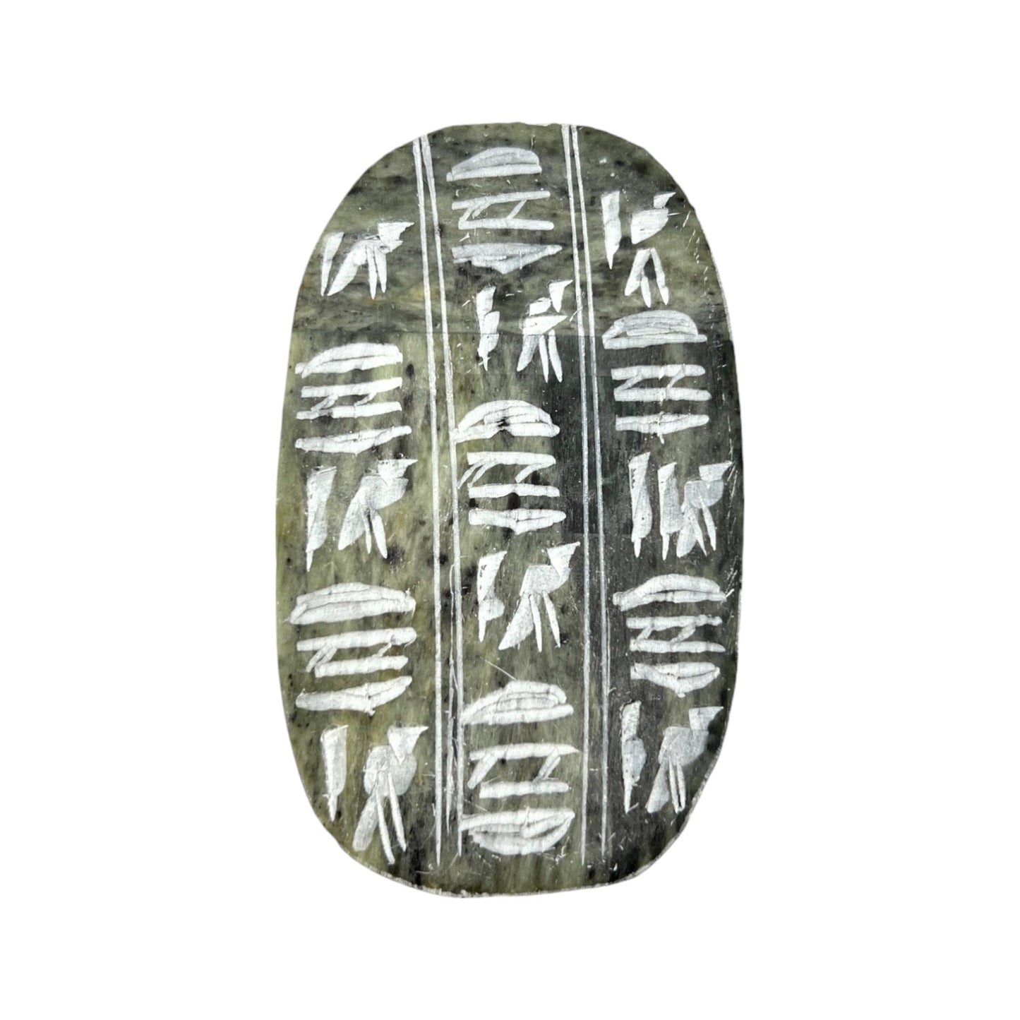 Scarab Beetle