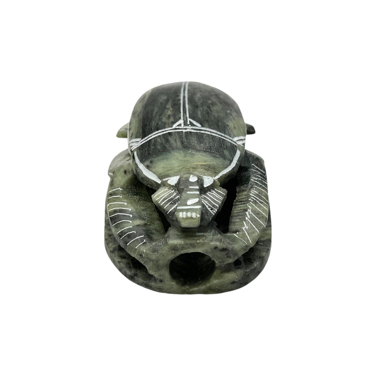 Scarab Beetle