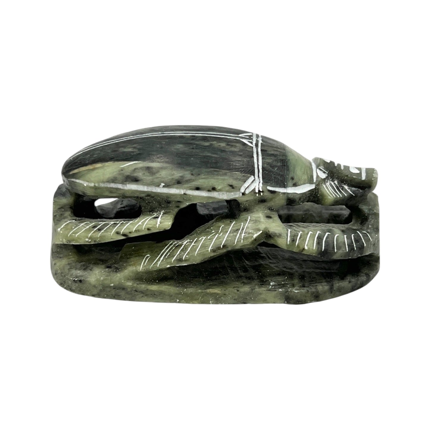 Scarab Beetle