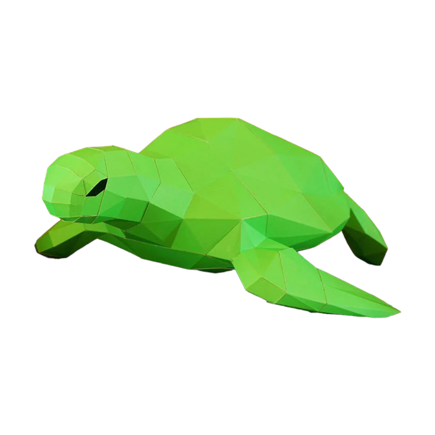 PaperCraft 3D Model (Sea Turtle)
