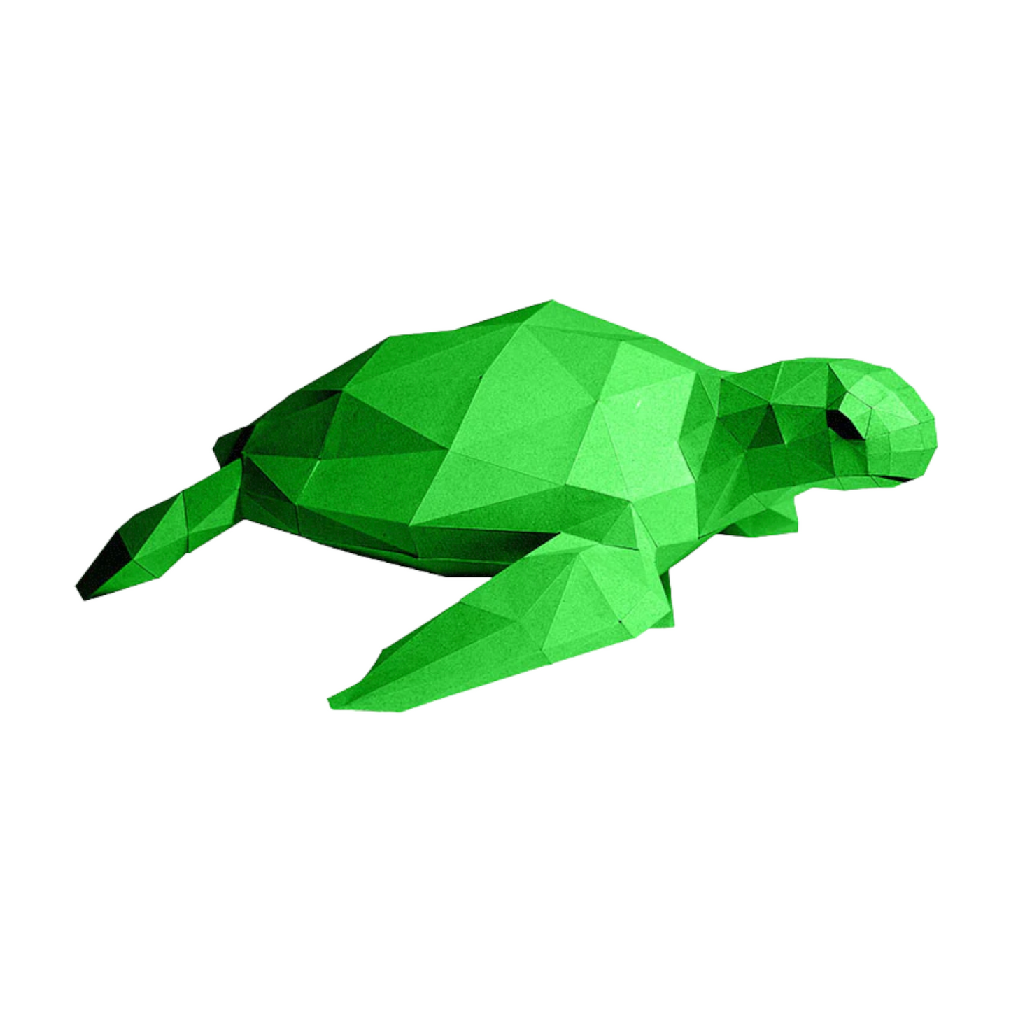 PaperCraft 3D Model (Sea Turtle)