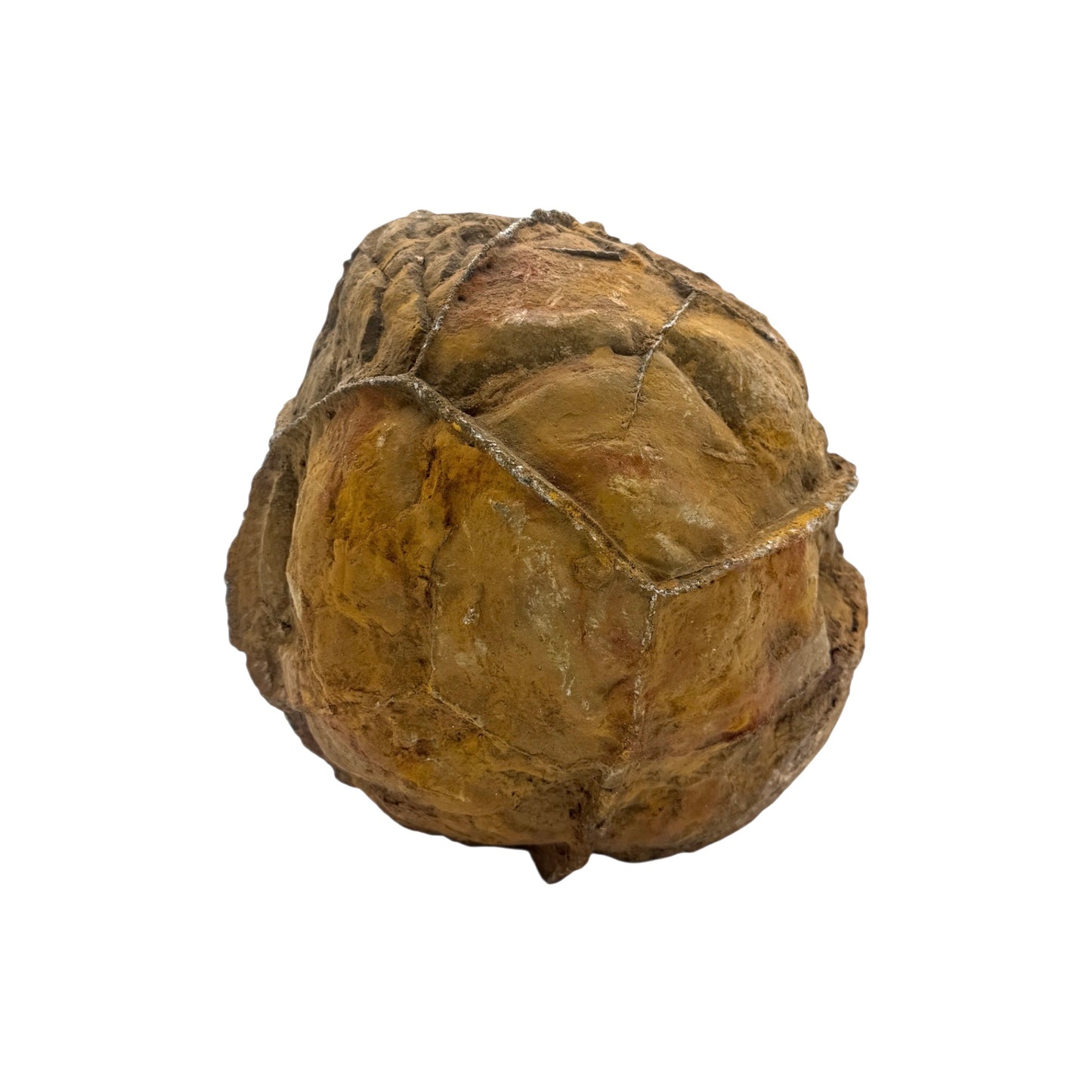 Septarian Nodule