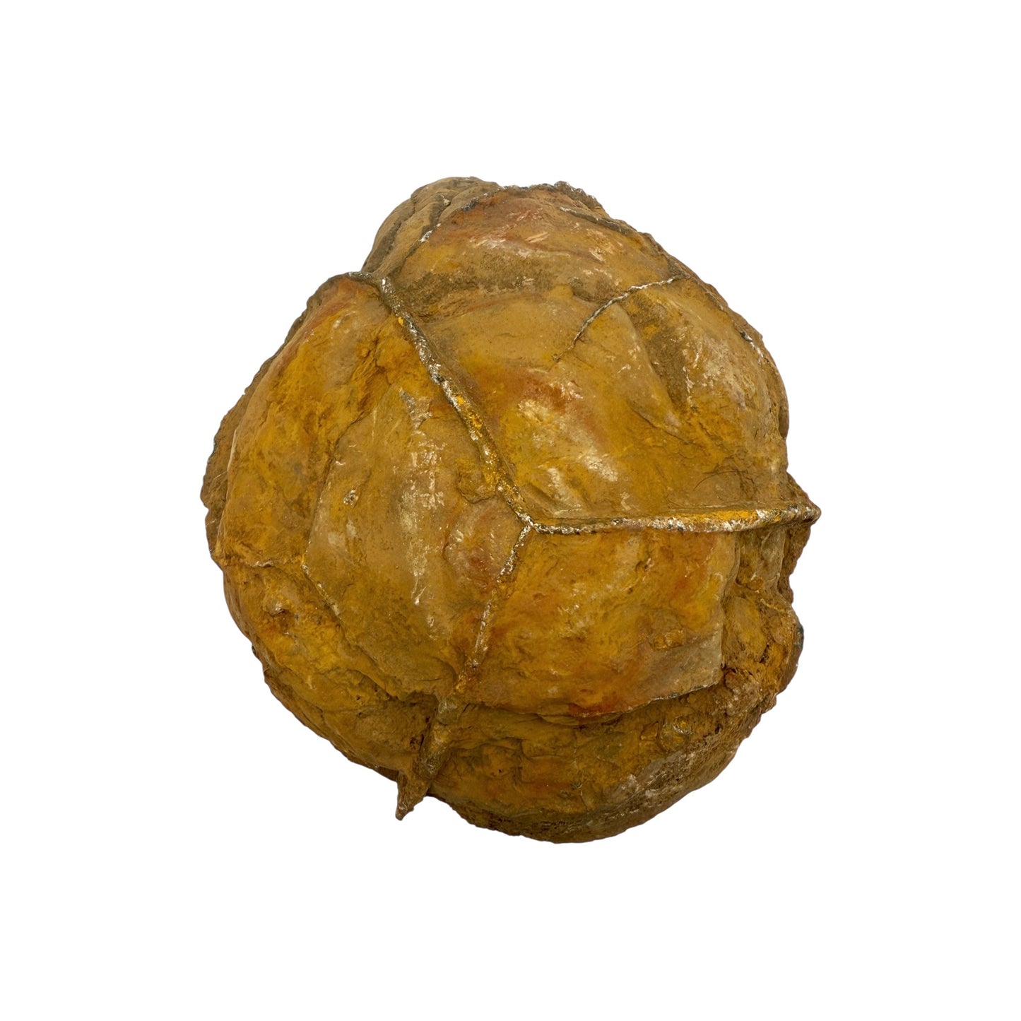 Septarian Nodule