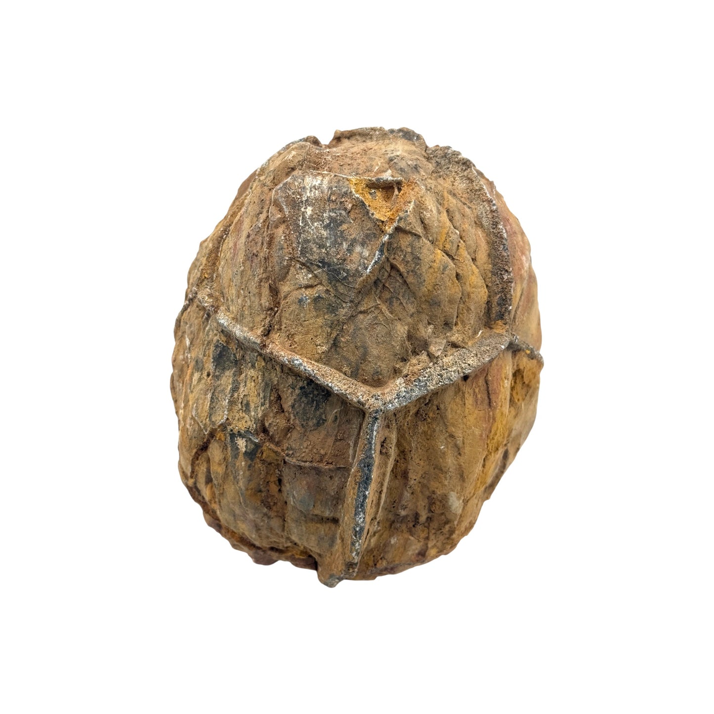 Septarian Nodule