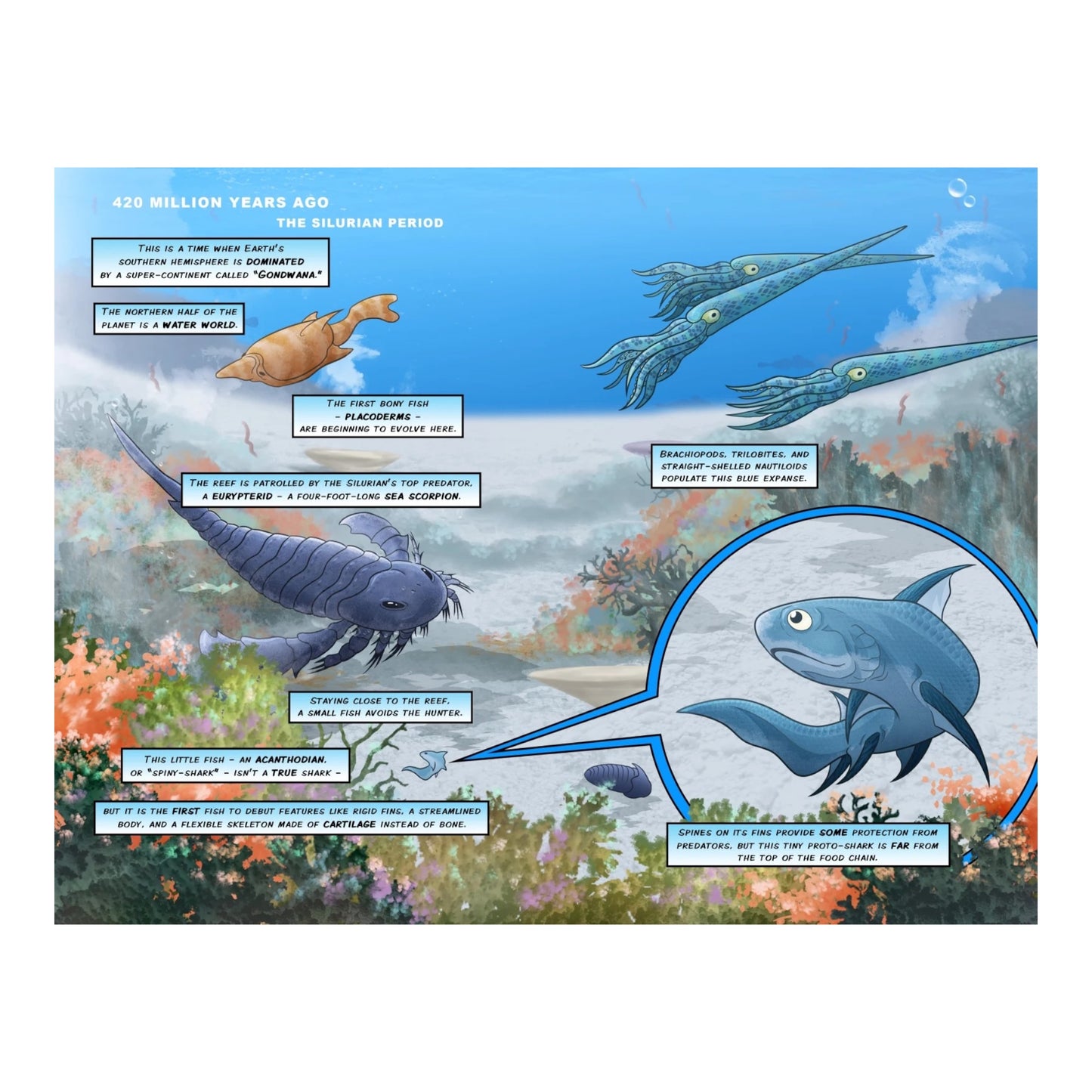 Sharks: A 400 Million Year Journey