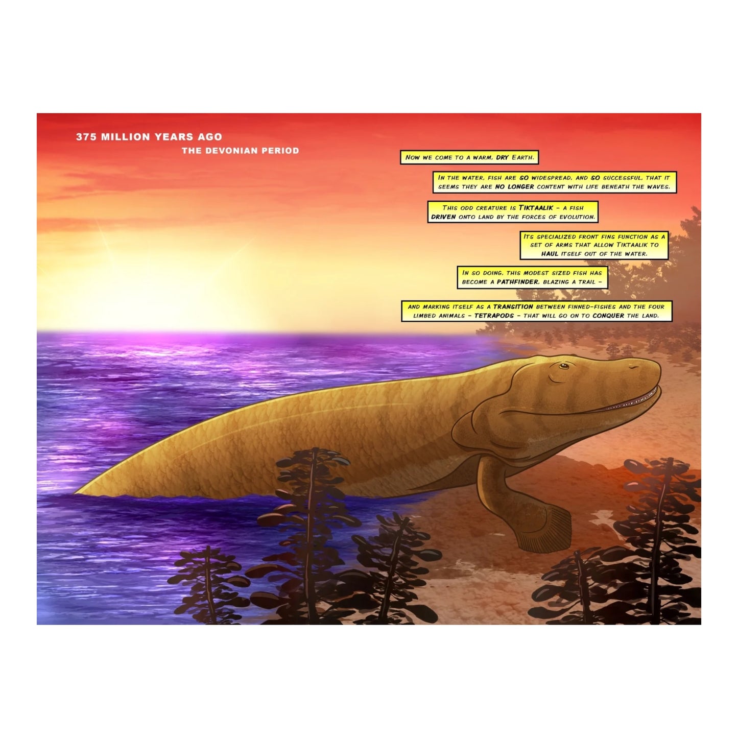 Sharks: A 400 Million Year Journey