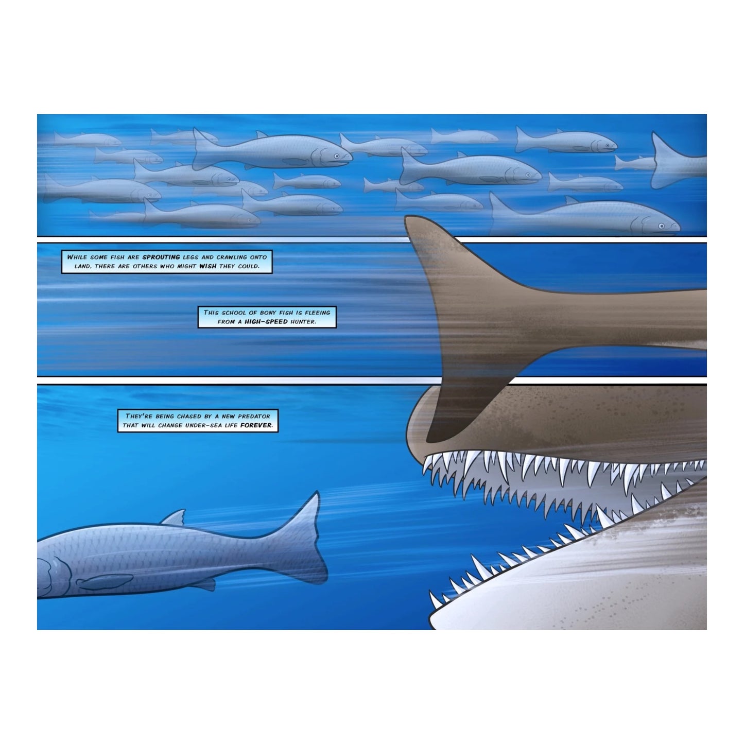 Sharks: A 400 Million Year Journey