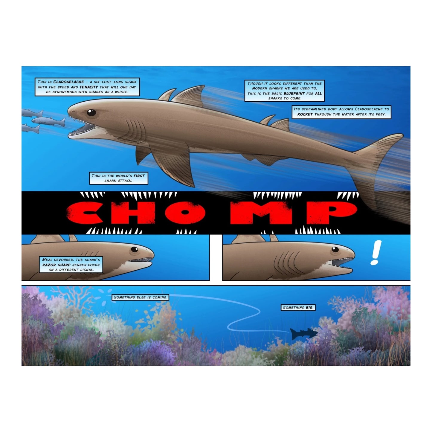 Sharks: A 400 Million Year Journey