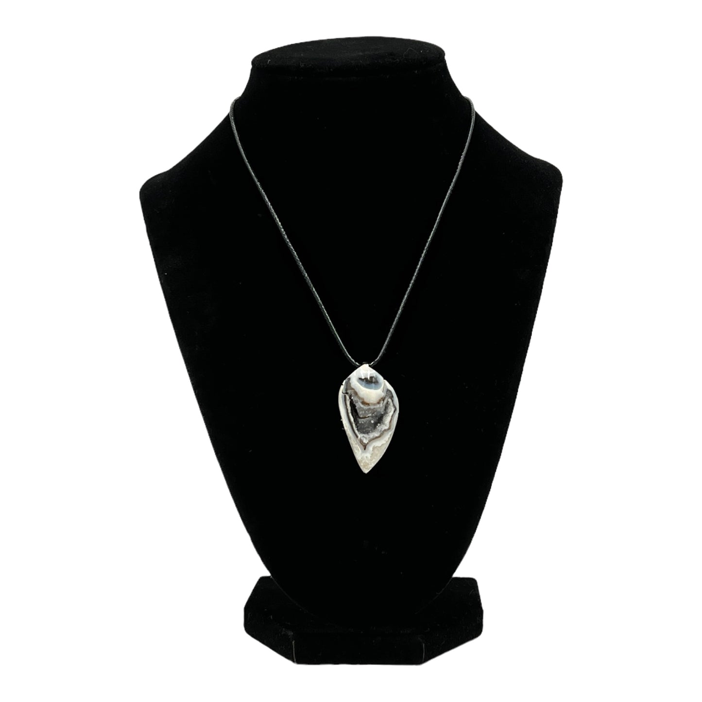 Crystallized Shell Necklace