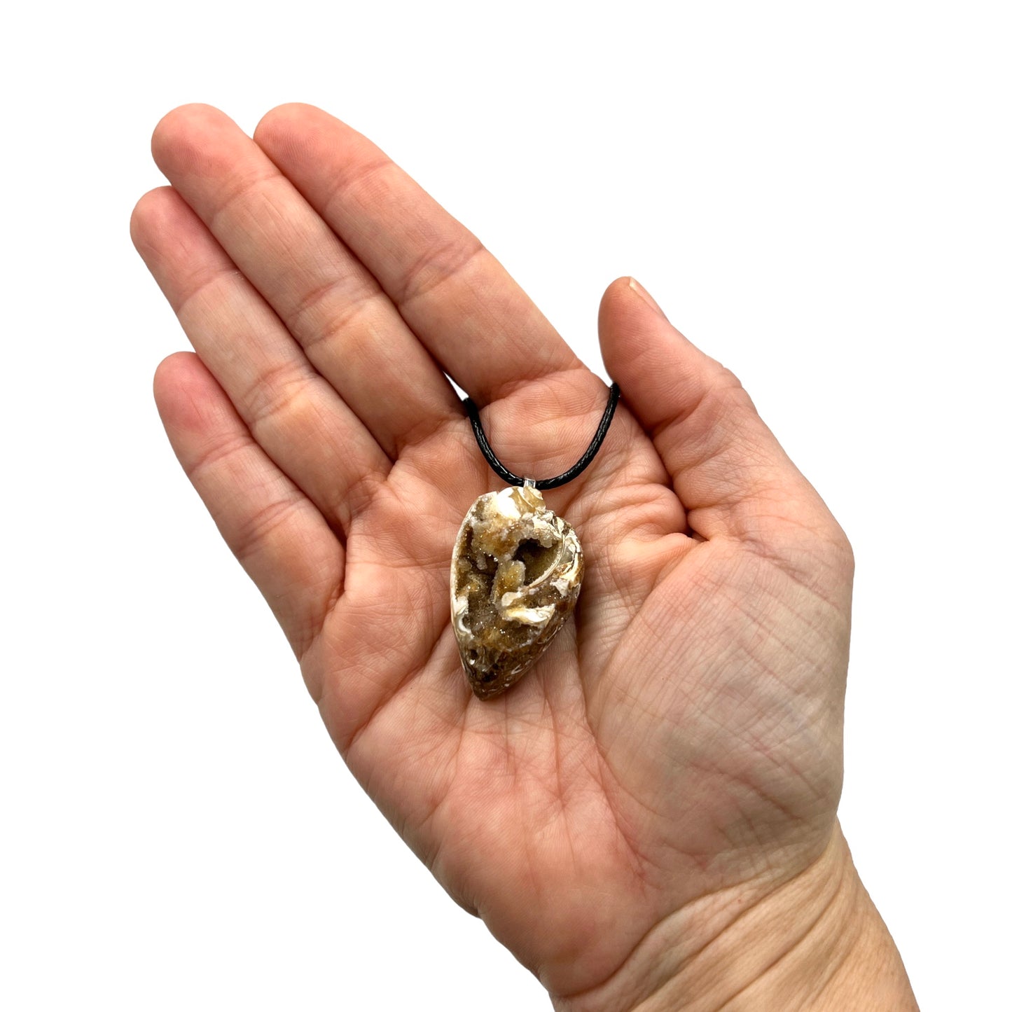 Crystallized Shell Necklace
