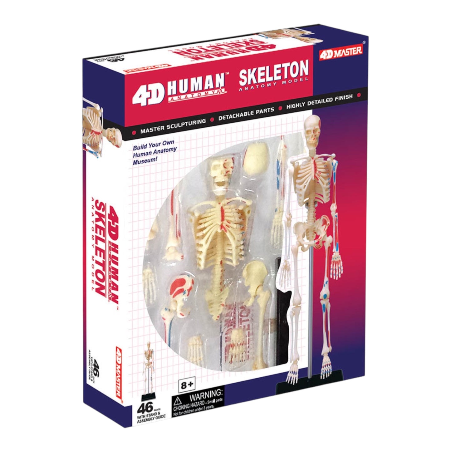 4D Human Skeleton