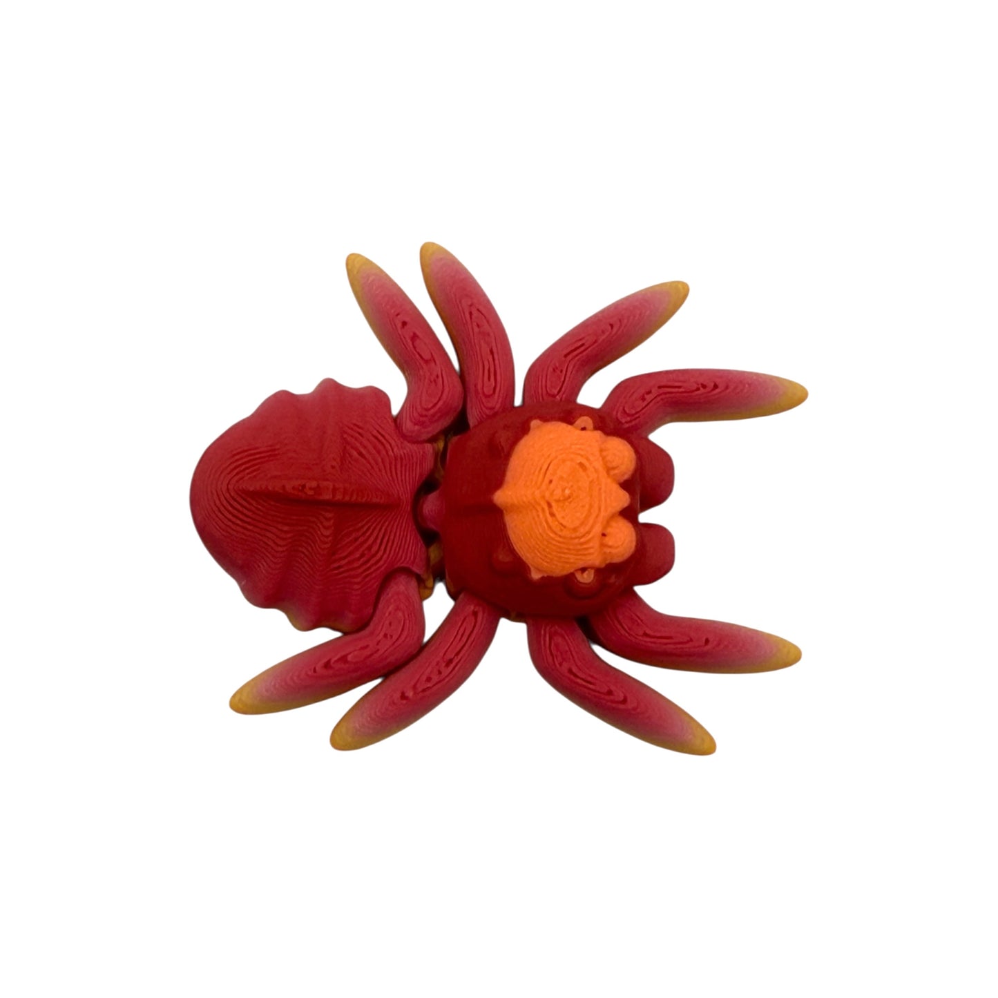 3D Printed Spider