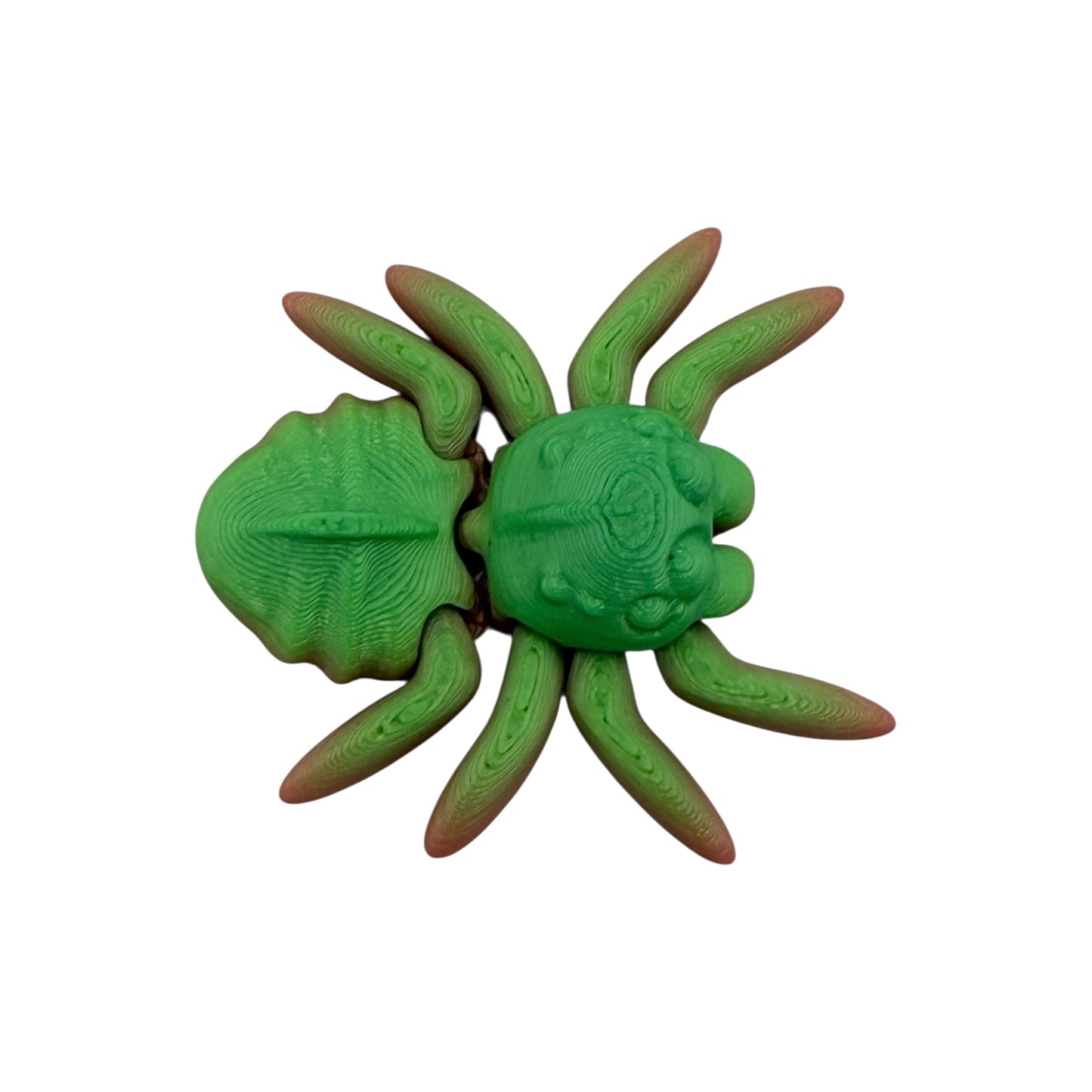 3D Printed Spider