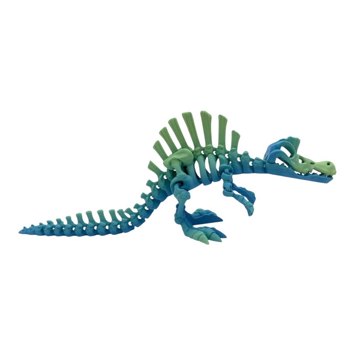 3D Printed Spinosaurus