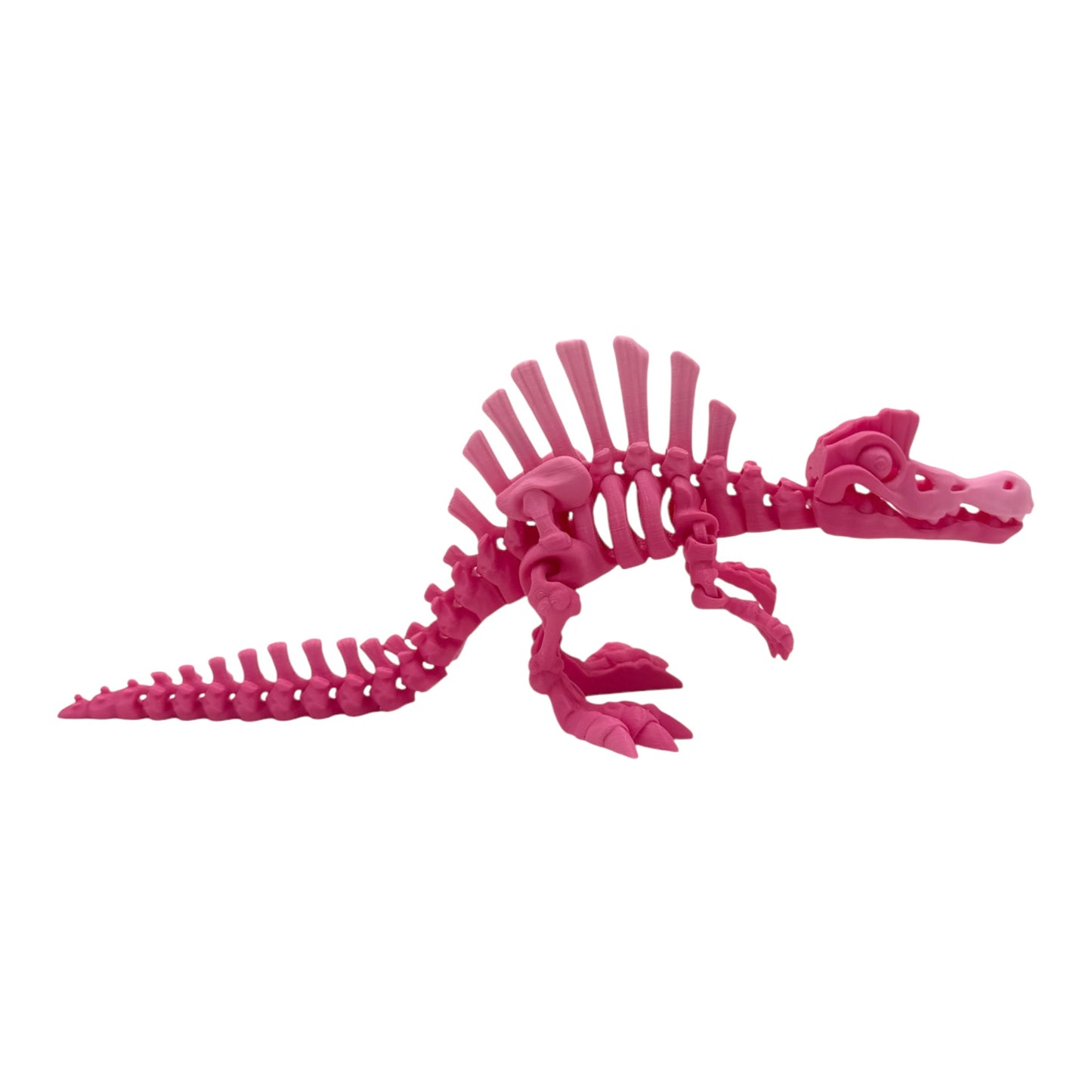 3D Printed Spinosaurus