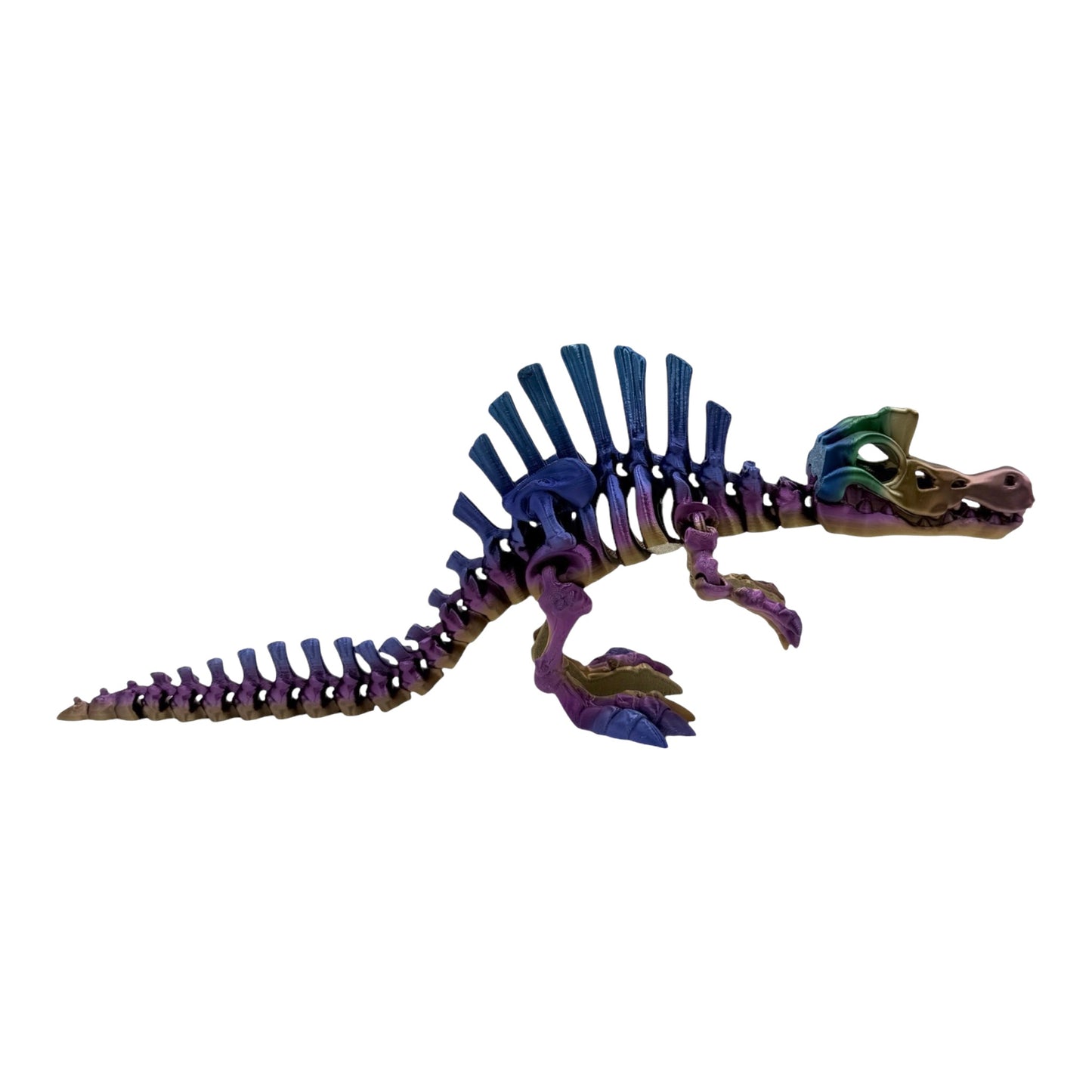 3D Printed Spinosaurus