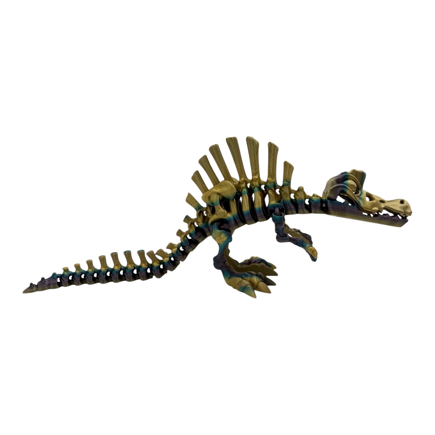 3D Printed Spinosaurus