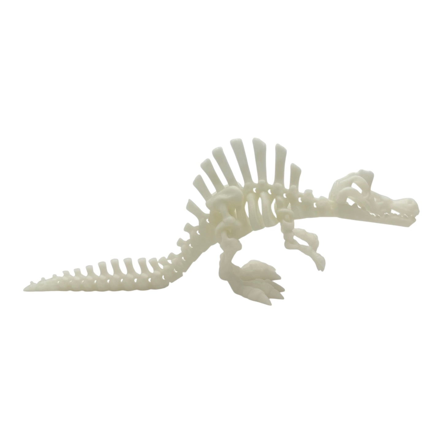 3D Printed Spinosaurus