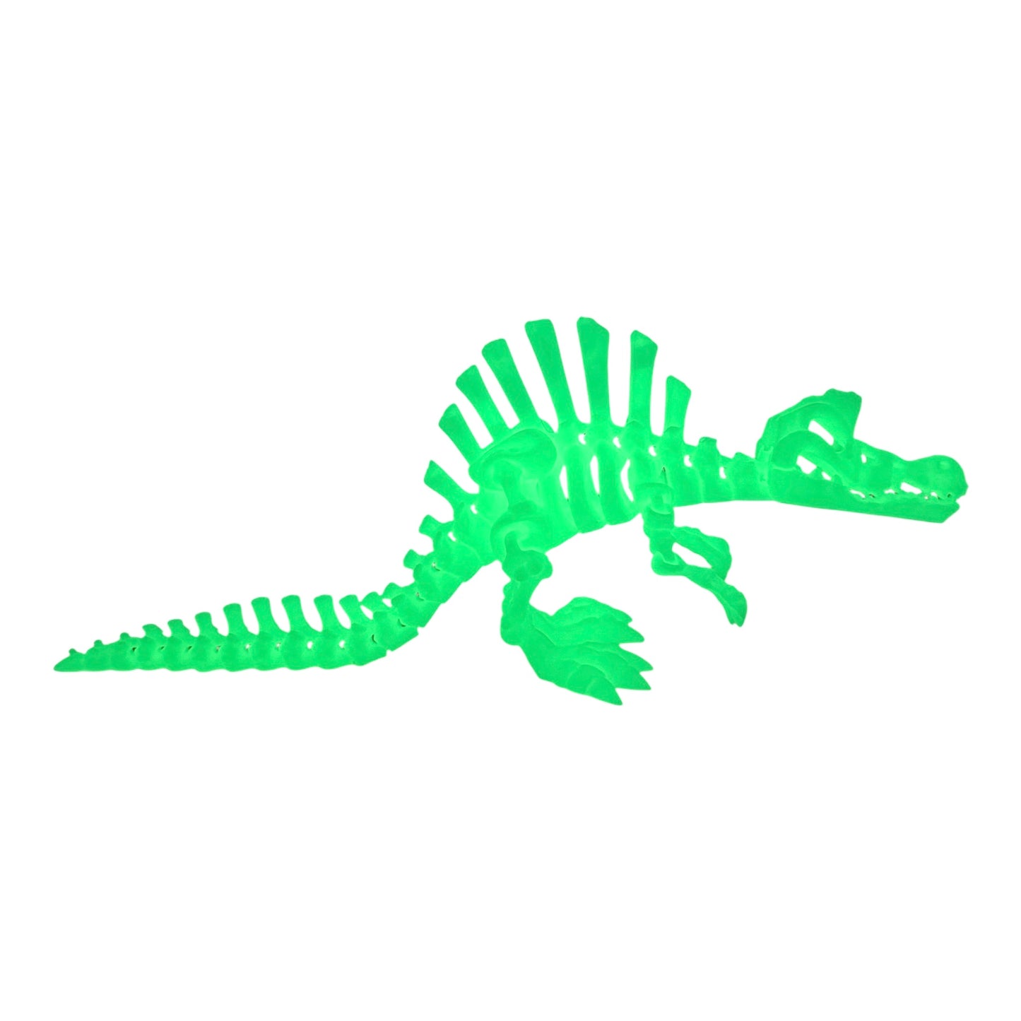 3D Printed Spinosaurus