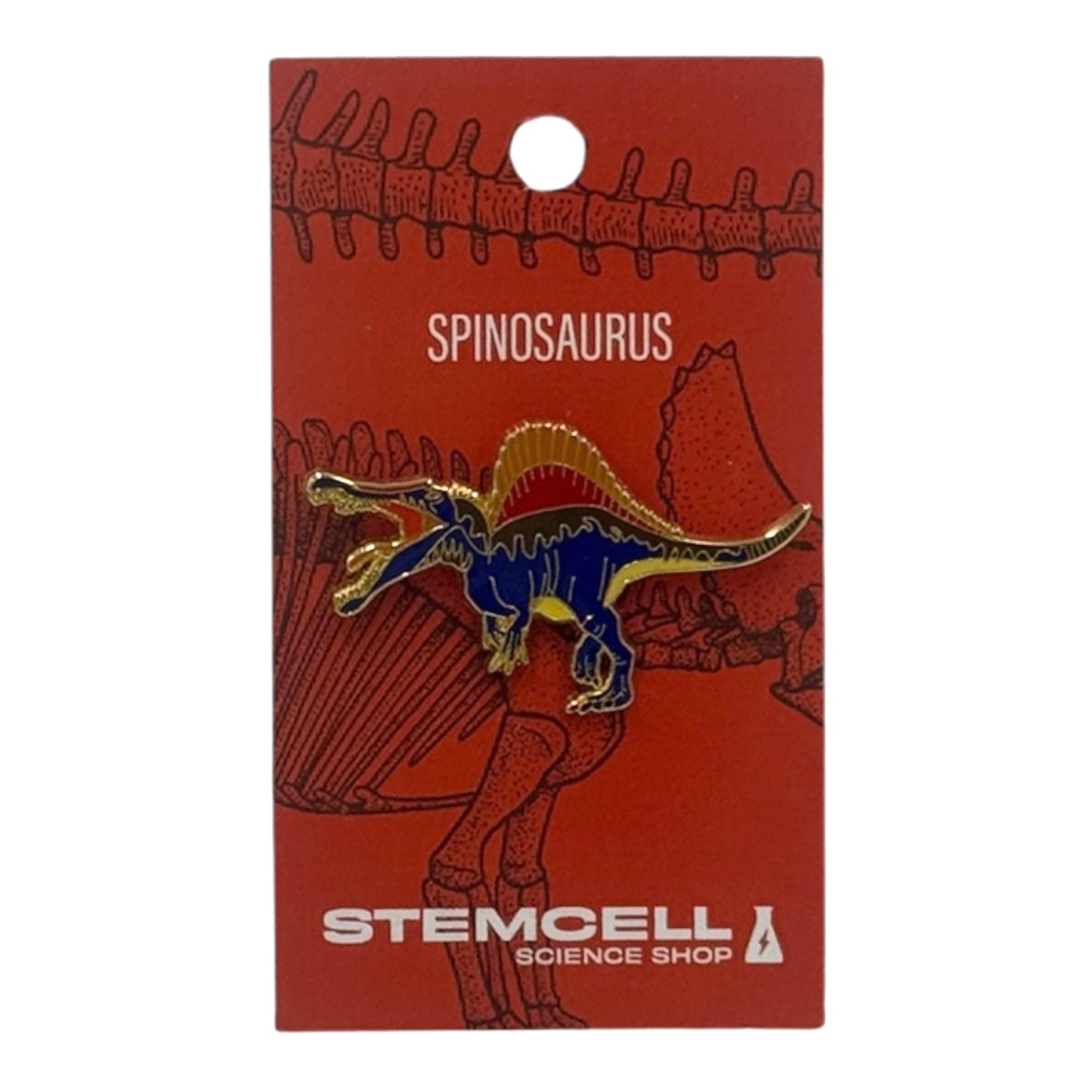 Prehistoric Pin