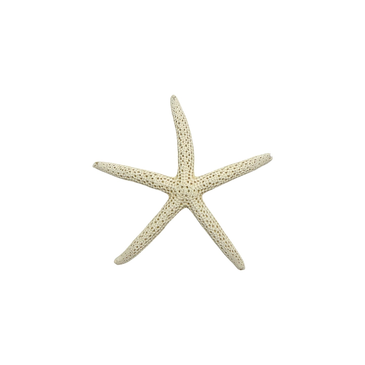 Finger Starfish