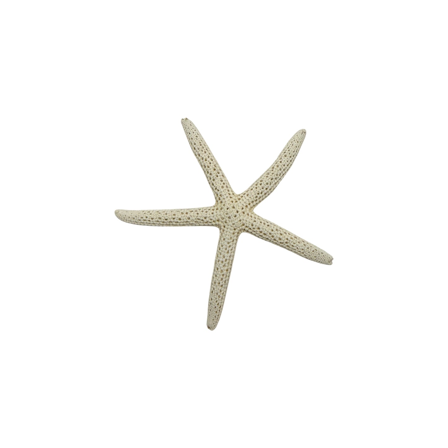 Finger Starfish