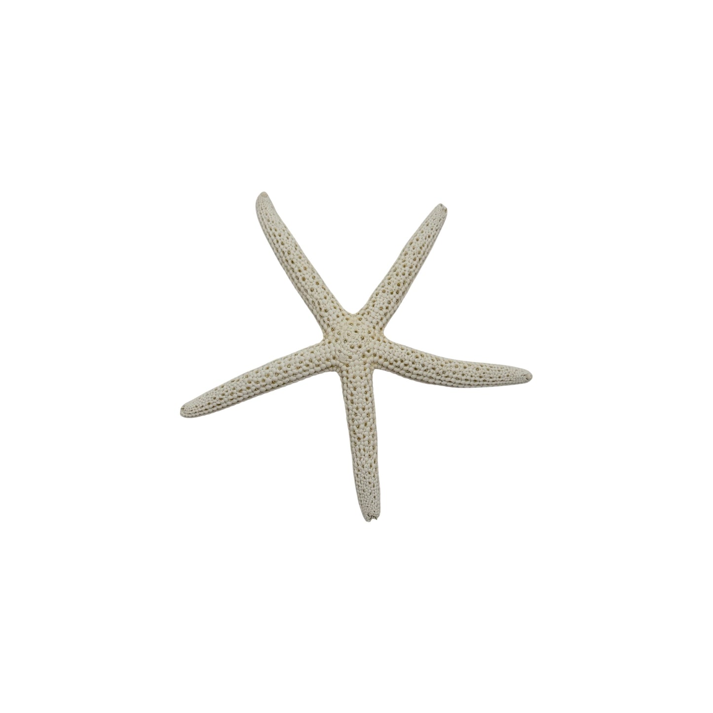 Finger Starfish