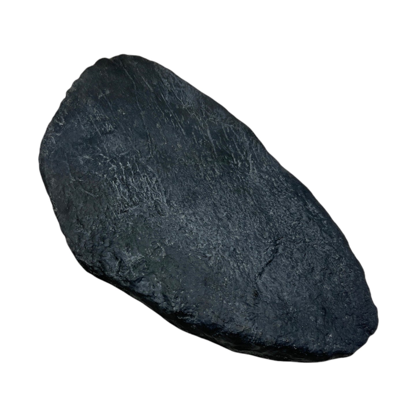 Spine Plate Replica (Stegosaurus)