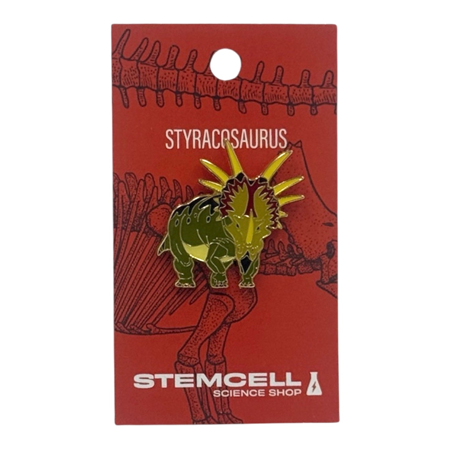 Prehistoric Pin