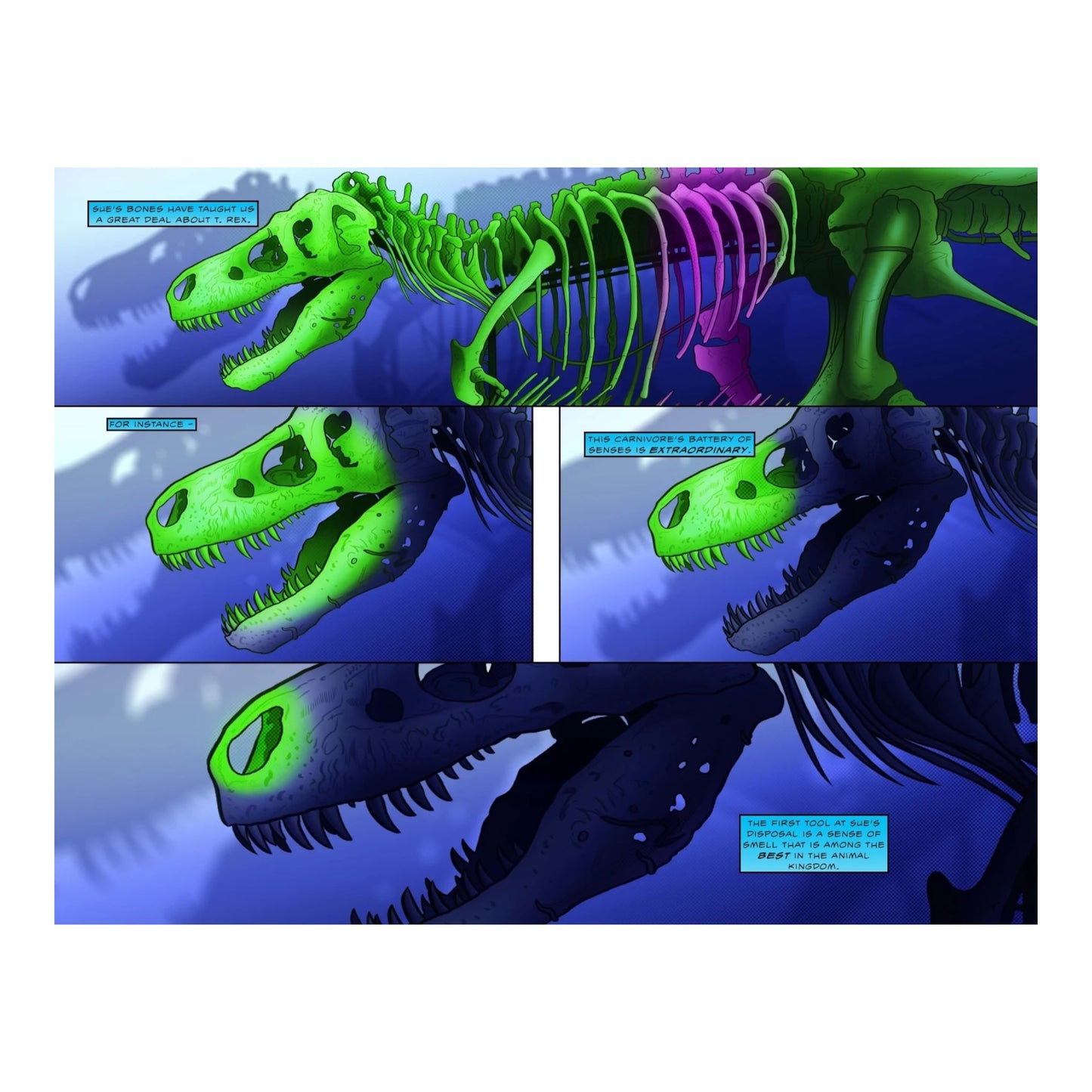 Sue: Welcome to the World of Tyrannosaurus Rex