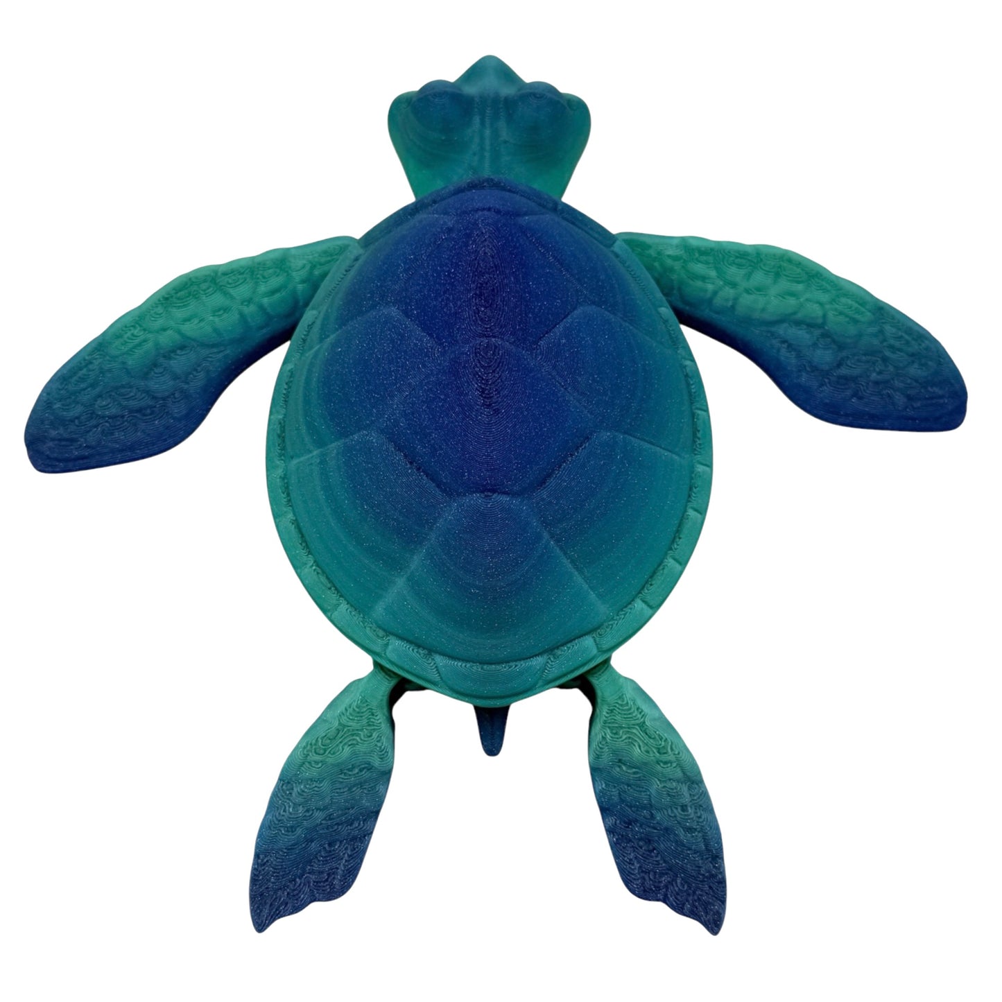 3D Printed Sea Turtle