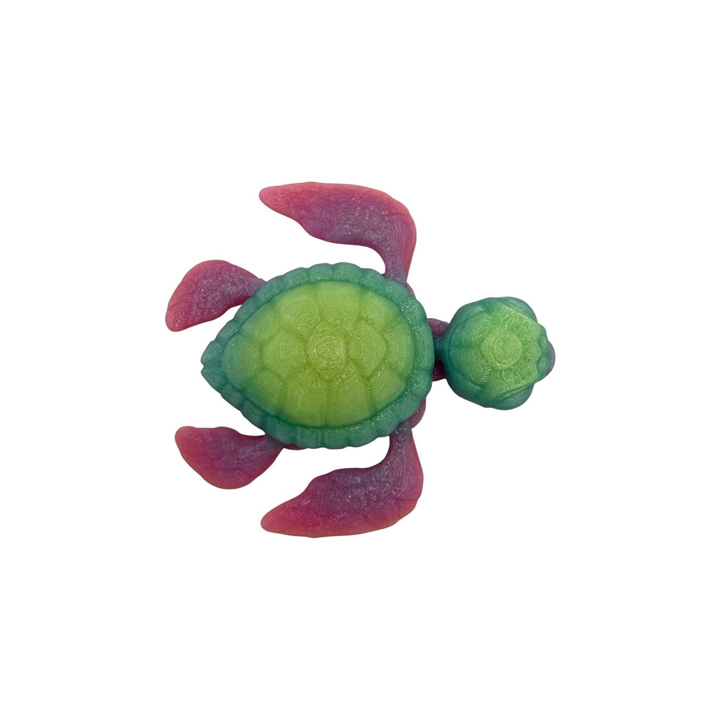 3D Printed Turtle