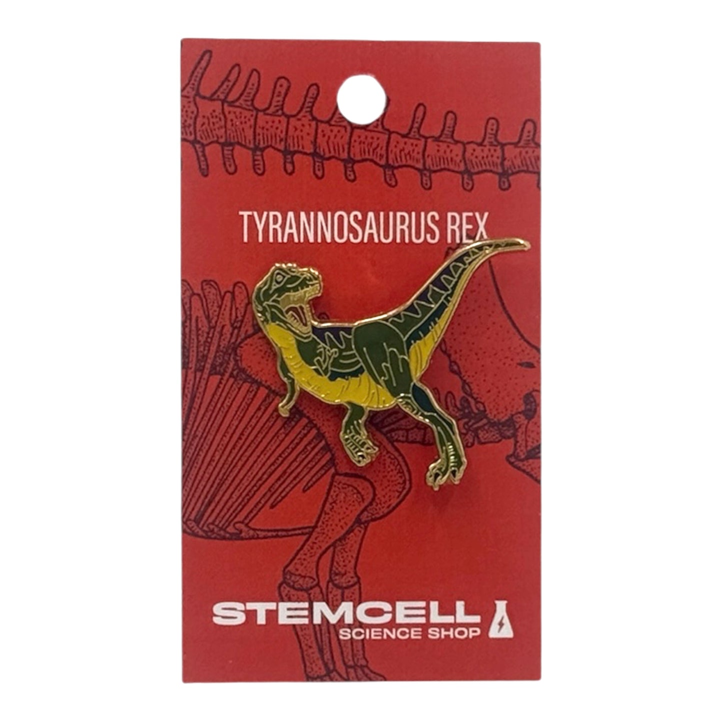 Prehistoric Pin