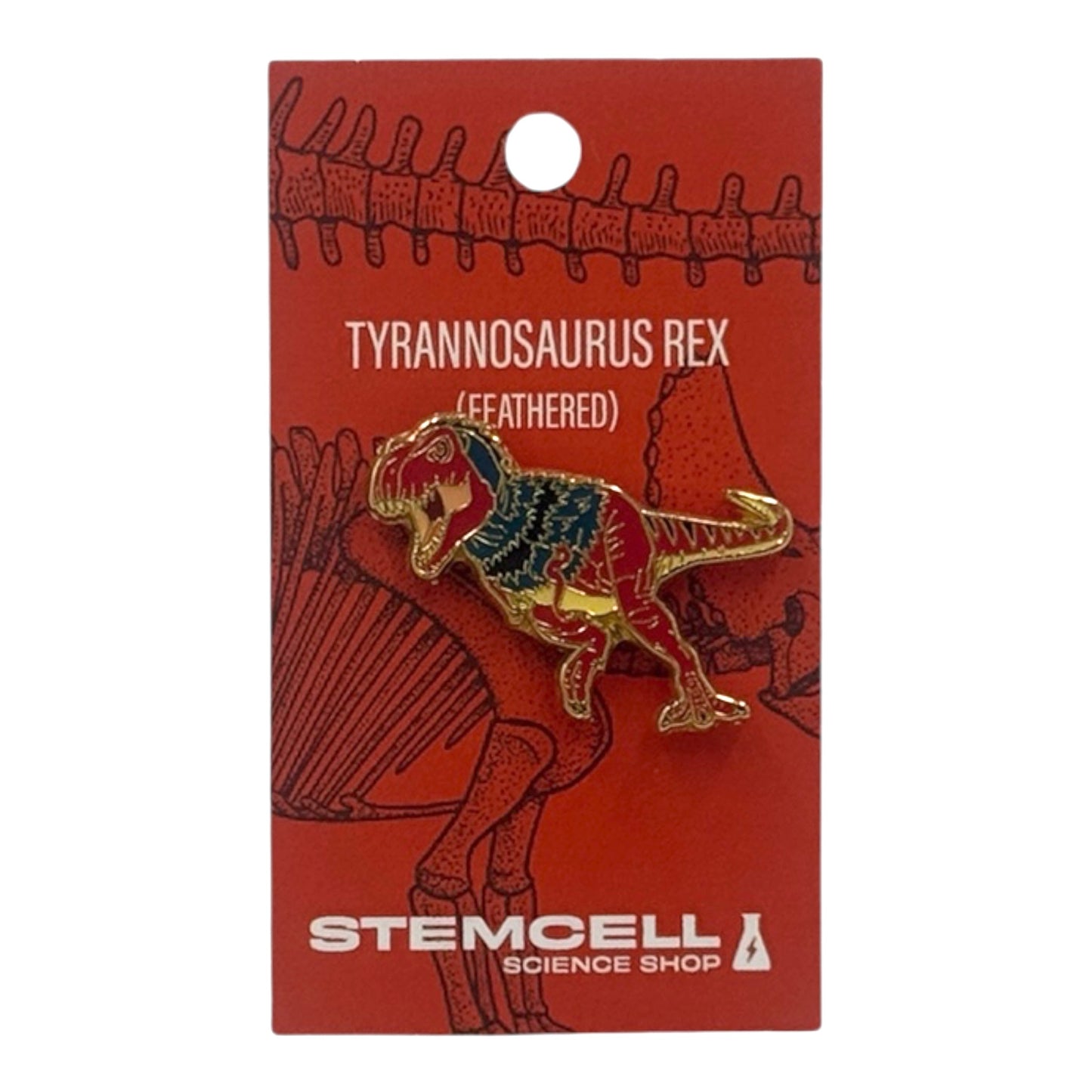 Prehistoric Pin