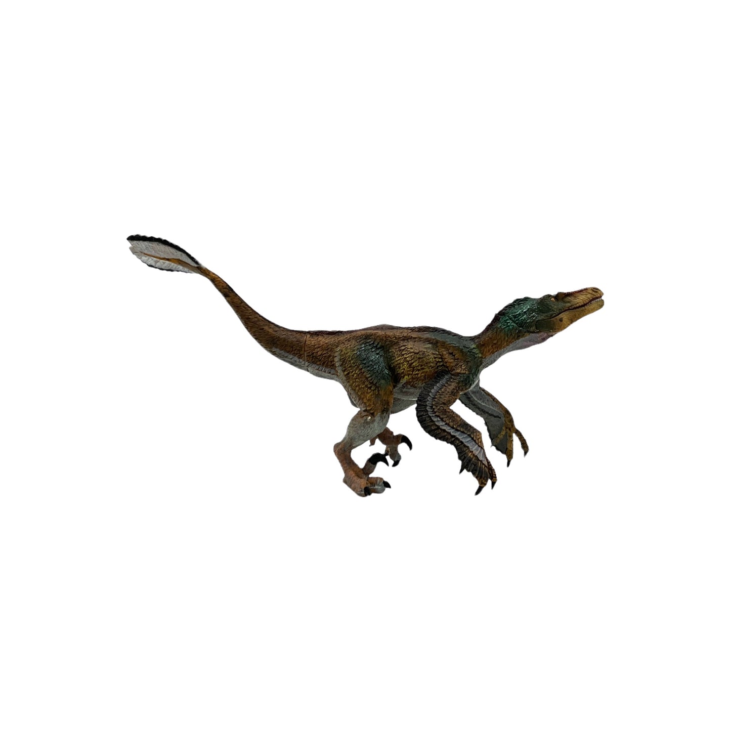 Feathered Velociraptor, Multicolored (Papo)