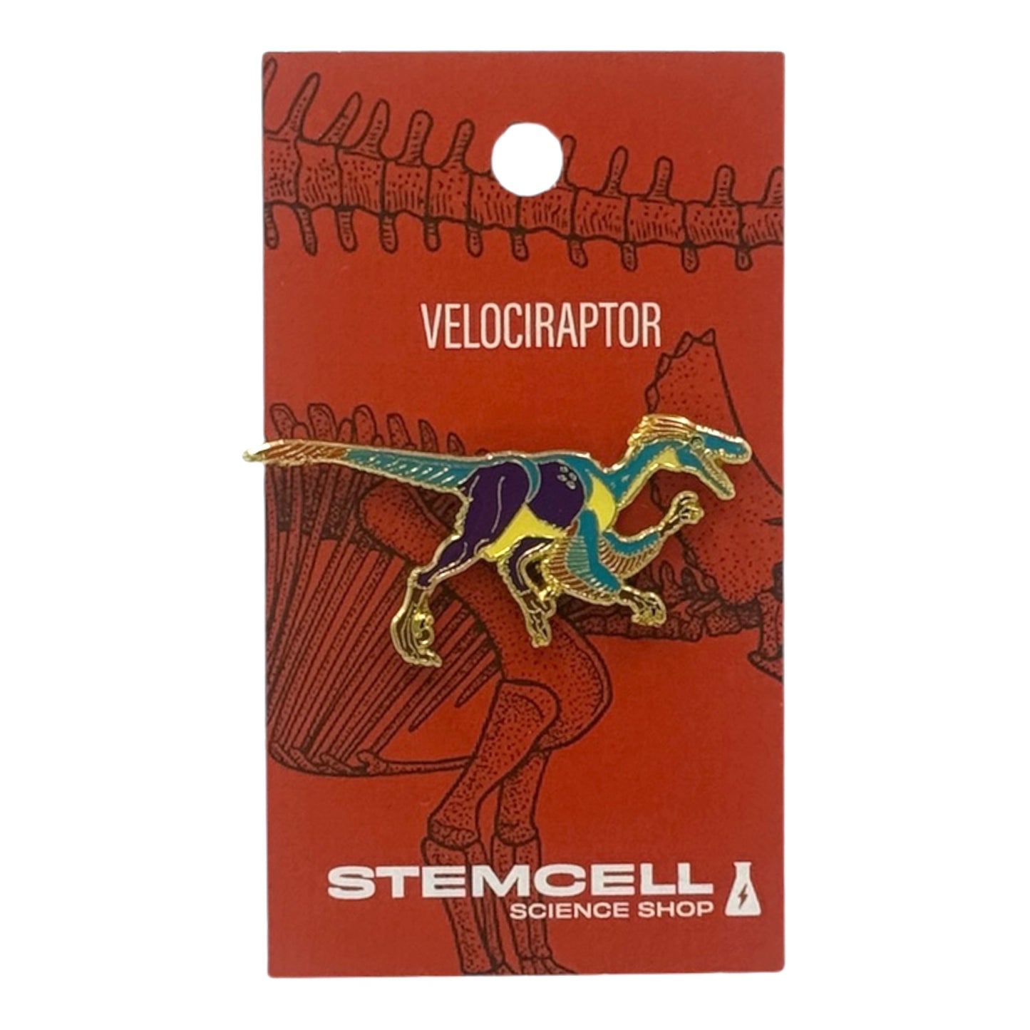 Prehistoric Pin