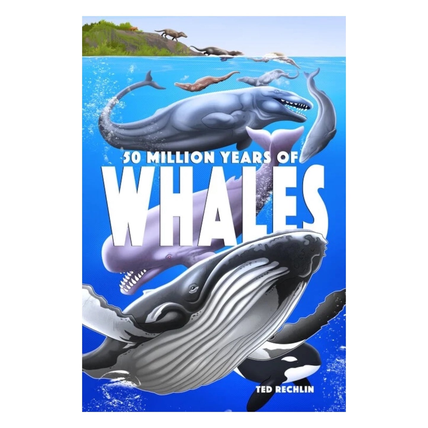 50 Million Years of Whales
