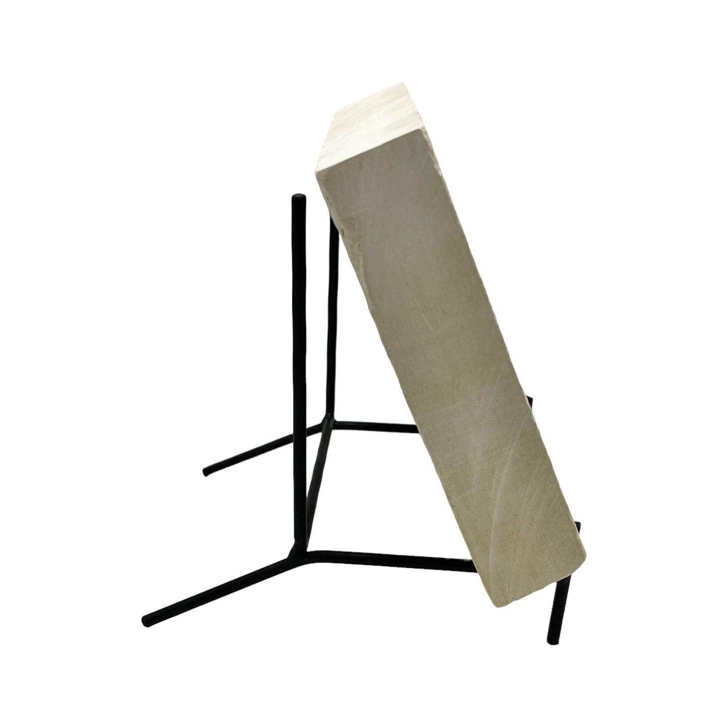 Fossil Fish Plate (Knightia from Green River Formation, XL)