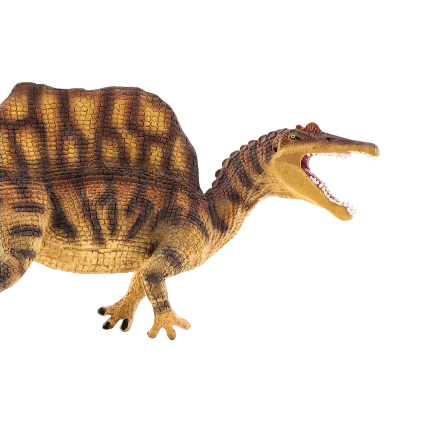 Spinosaurus (Safari)