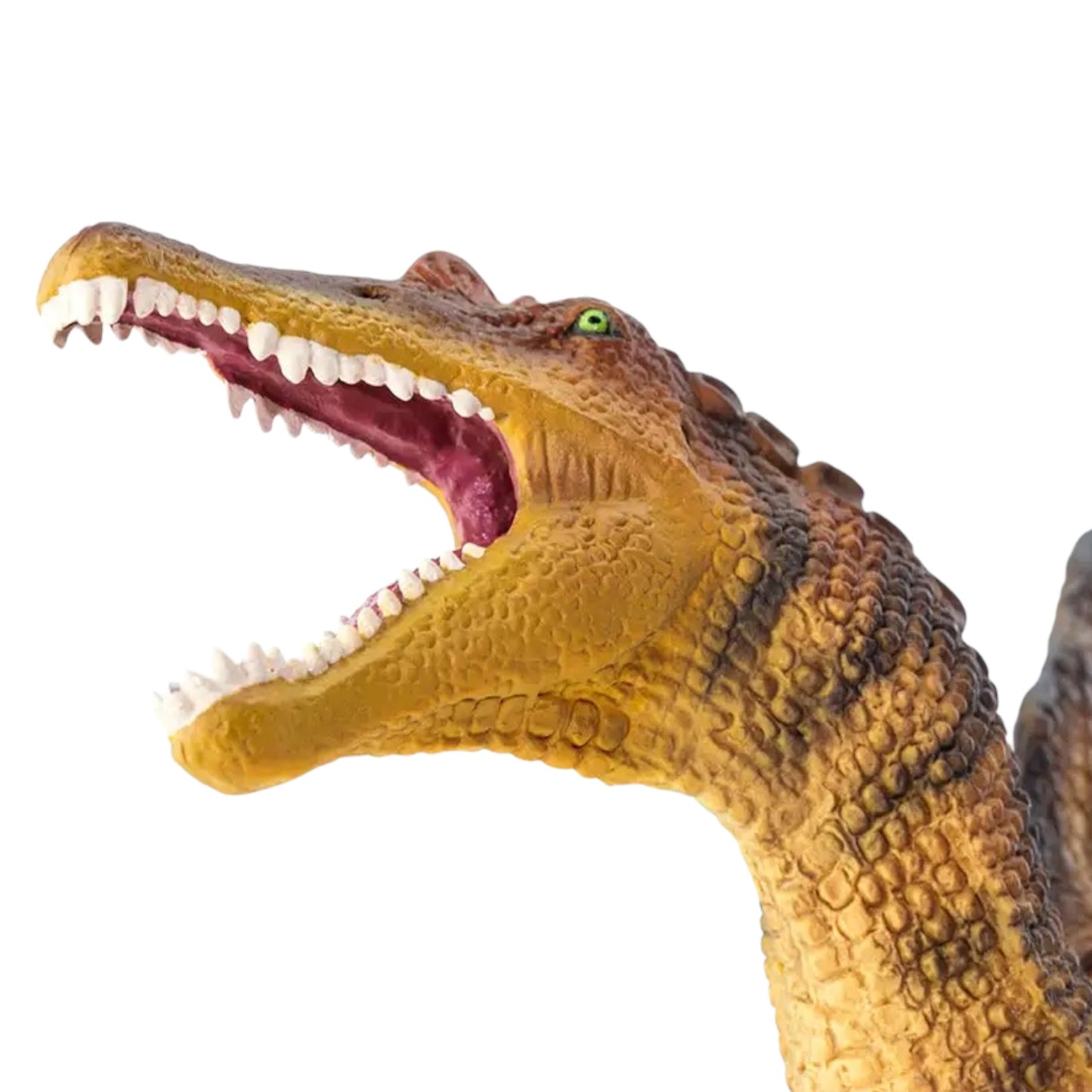 Spinosaurus (Safari)