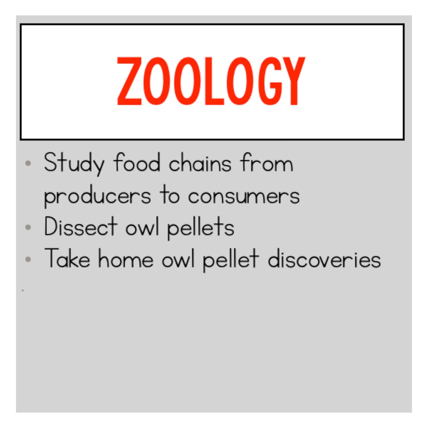 Zoology Class (Owl Pellets)