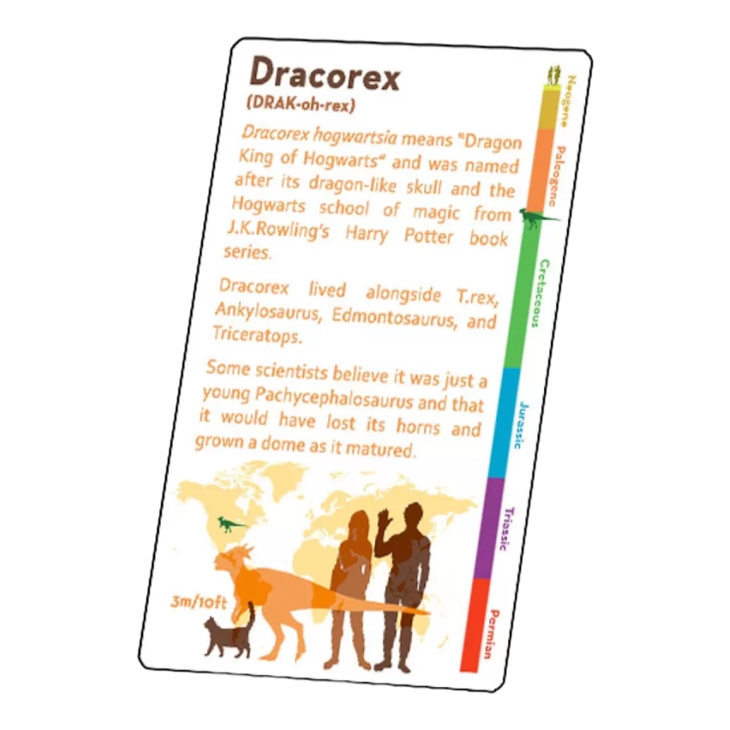 3D Dinosaur Fact Cards