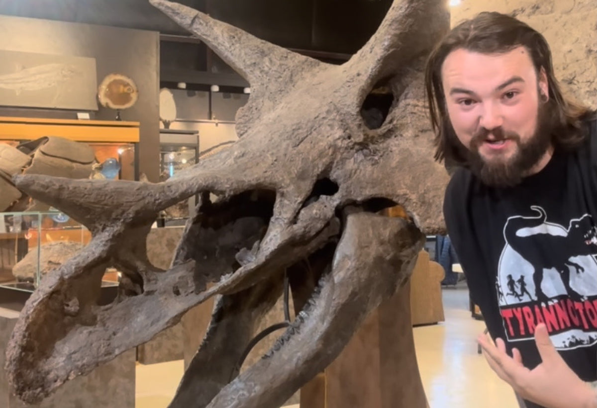 Explore GeoWorld Gallery