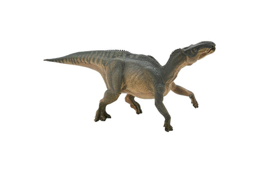 Fun Facts About Iguanodon