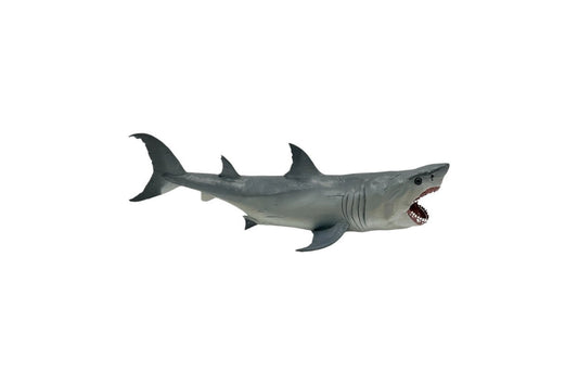 Does Megalodon Still Exist?