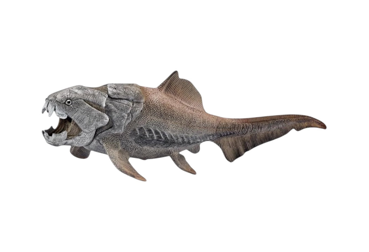 Learn About Placoderms