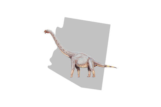 Fun Facts About State Dinosaurs (Sonorasaurus)