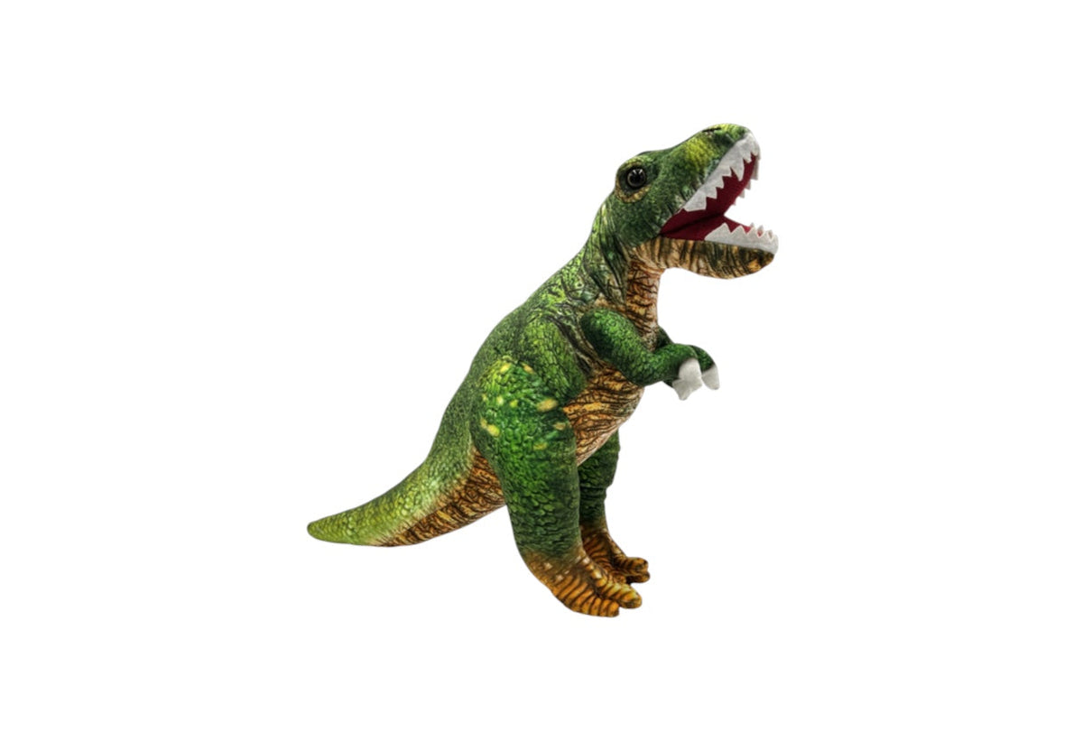 Why Did Some Dinos Have Tiny Arms?
