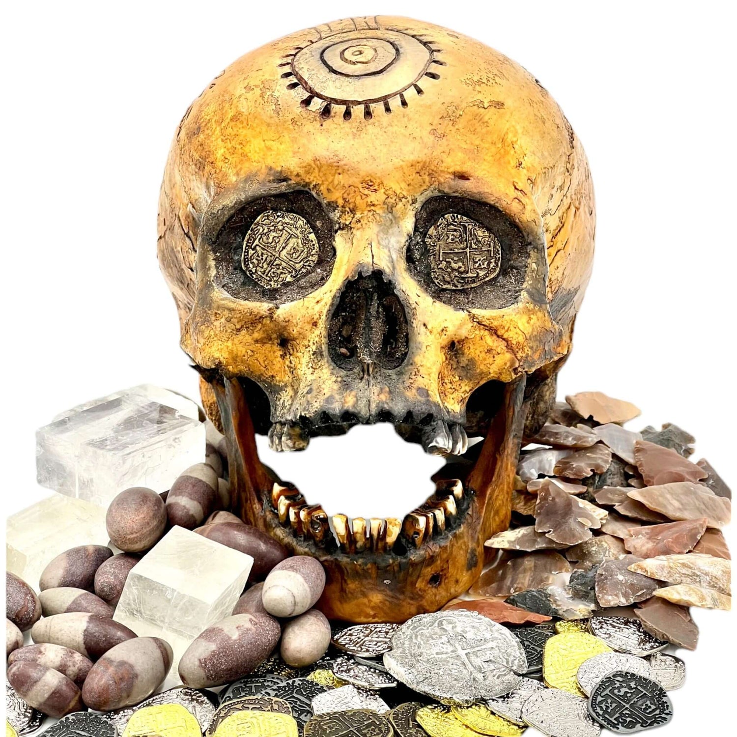 Anthropology