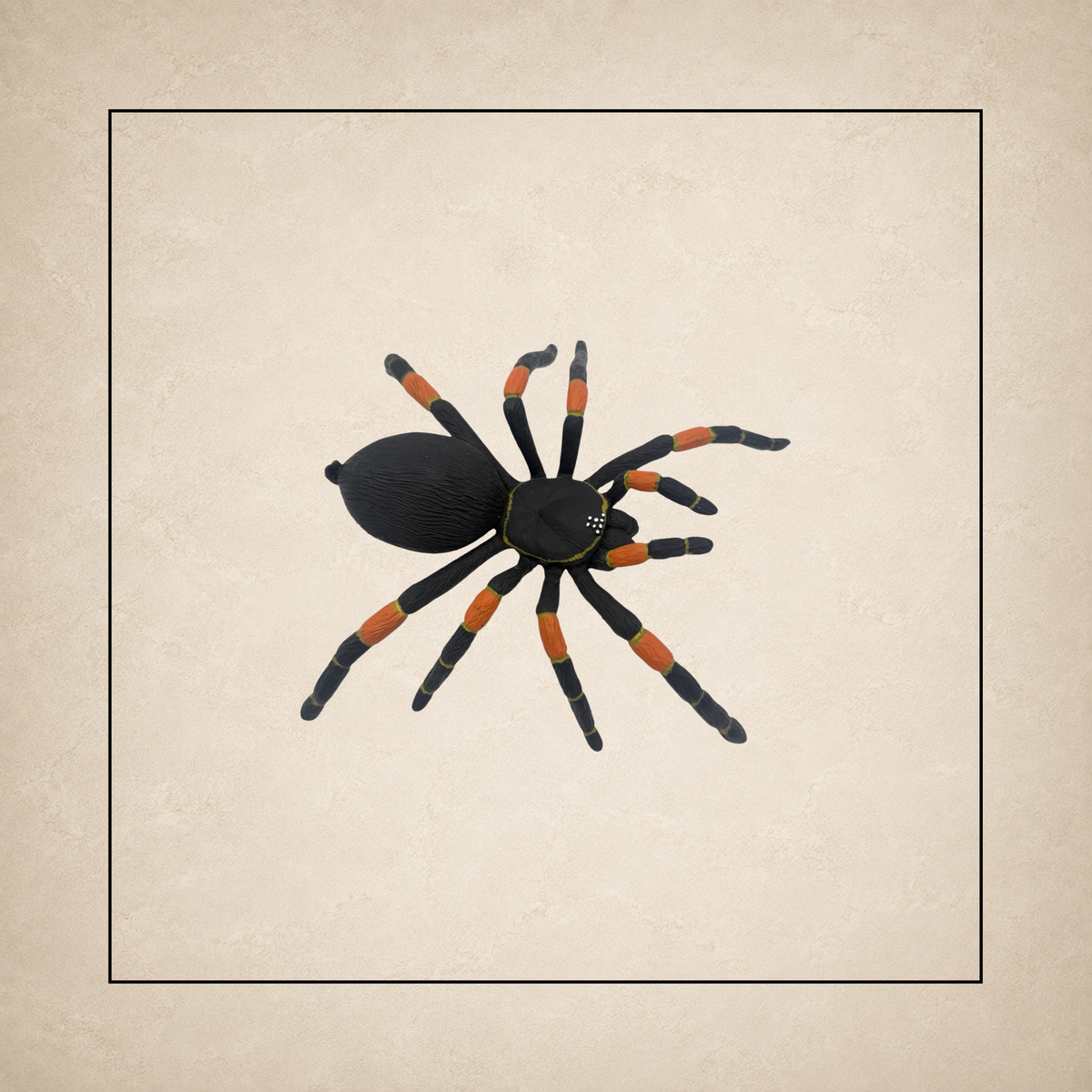 Bugs